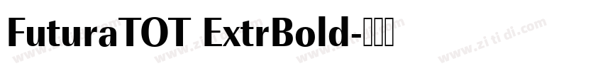 FuturaTOT ExtrBold字体转换